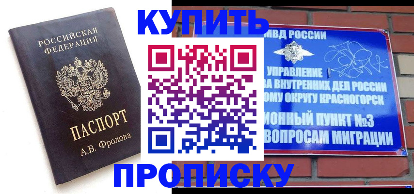 прописка поиск в Кузнецке